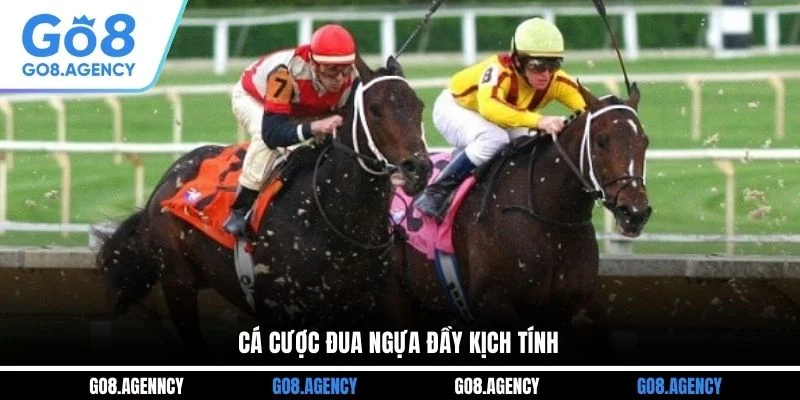 Cá cược đua ngựa đầy kịch tính 