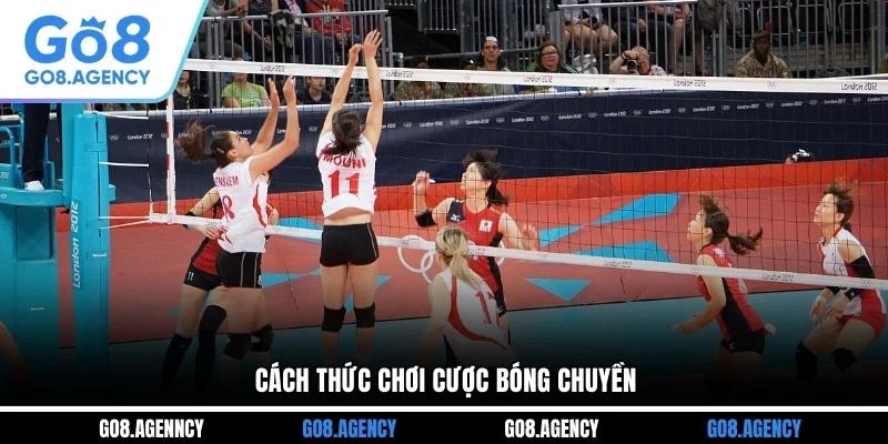 Cách thức chơi cược bóng chuyền