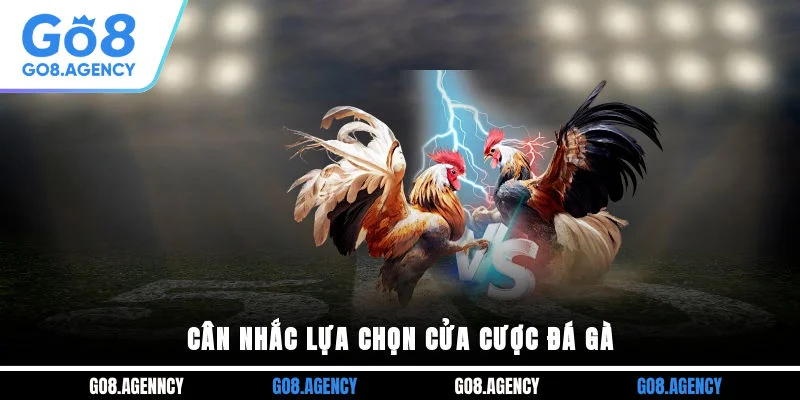 Cân nhắc lựa chọn cửa cược đá gà