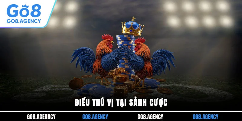 Điều thú vị tại sảnh cược