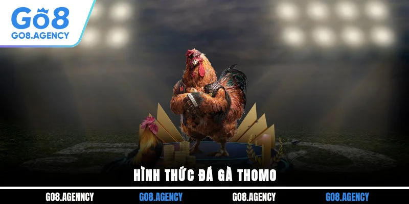 Hình thức đá gà Thomo