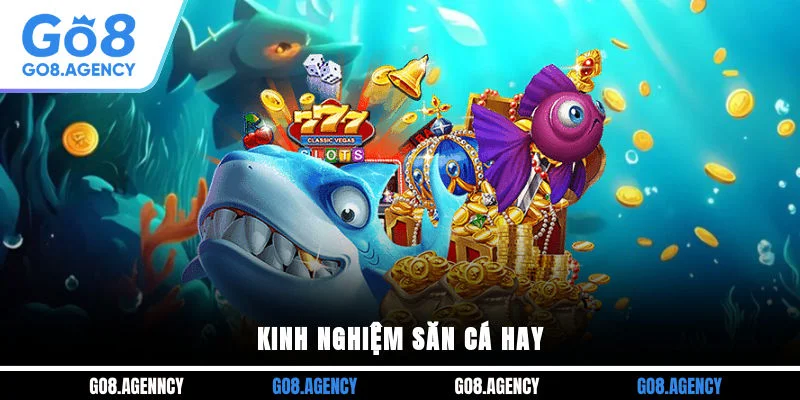 Kinh nghiệm săn cá hay