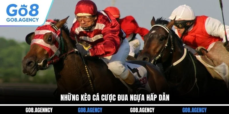 Những kèo cá cược đua ngựa hấp dẫn