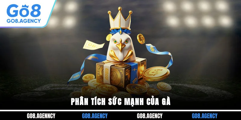 Phân tích sức mạnh của gà