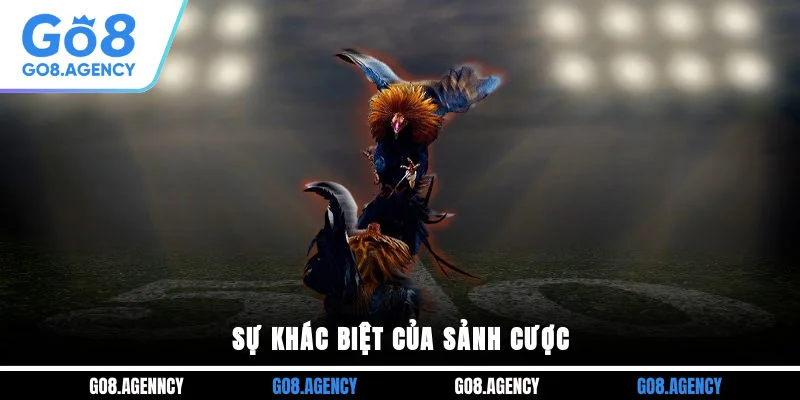 Sự khác biệt của sảnh cược