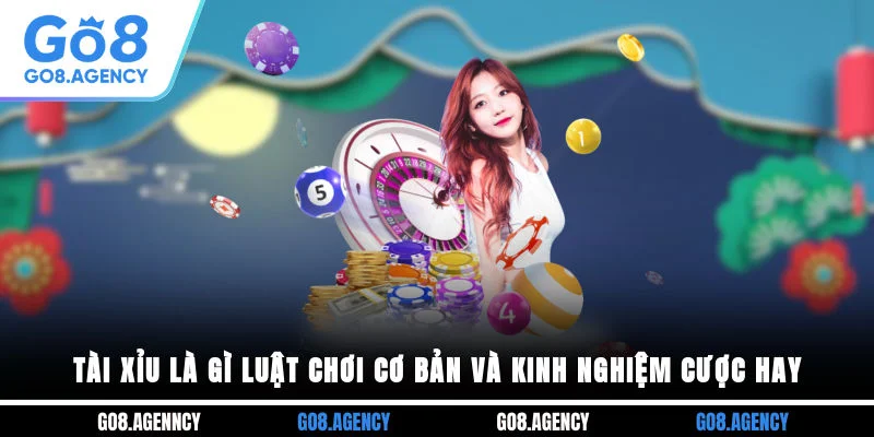 Tài Xỉu Là Gì? Luật Chơi Cơ Bản Và Kinh Nghiệm Cược Hay